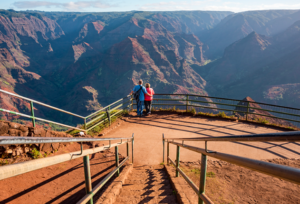 Visit Waimea Canyon 